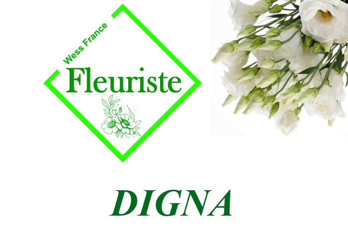 Fleuriste Digna Fleuriste Digna - livraison de fleurs Digna