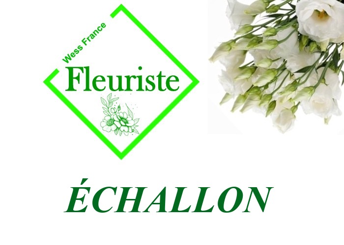 Fleuriste Échallon Fleuriste Échallon - livraison de fleurs Échallon