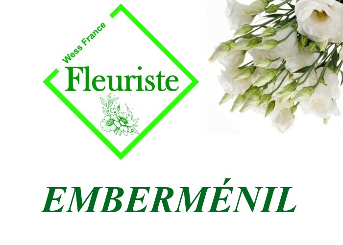 Fleuriste Emberménil Fleuriste Emberménil - livraison de fleurs Emberménil