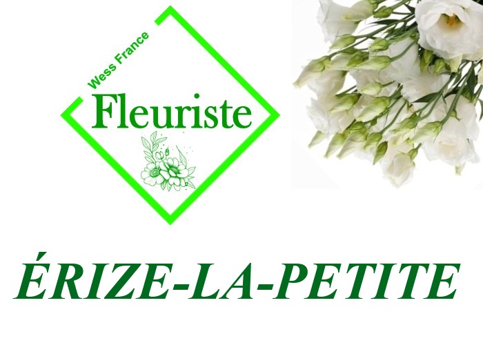 Fleuriste Érize-la-Petite Fleuriste Érize-la-Petite - livraison de fleurs Érize-la-Petite