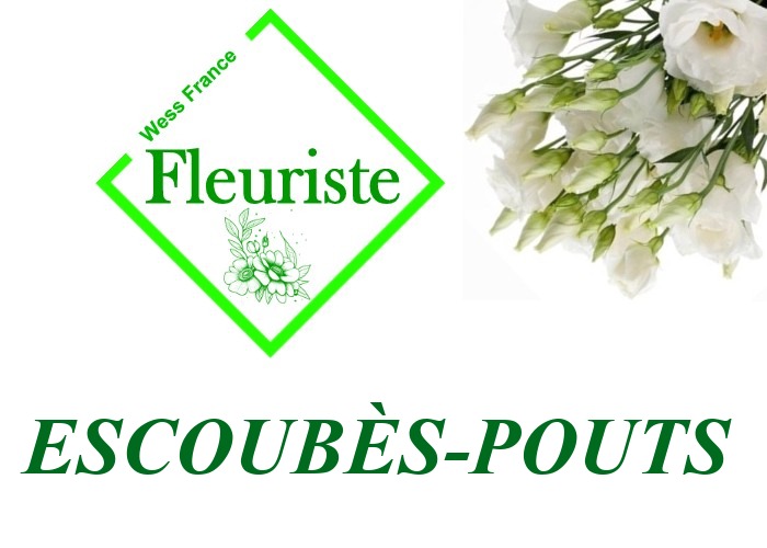 Fleuriste Escoubès-Pouts Fleuriste Escoubès-Pouts - livraison de fleurs Escoubès-Pouts