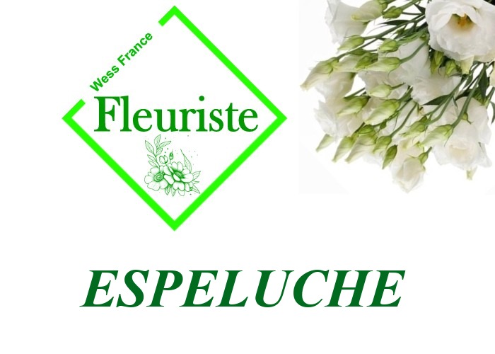 Fleuriste Espeluche Fleuriste Espeluche - livraison de fleurs Espeluche