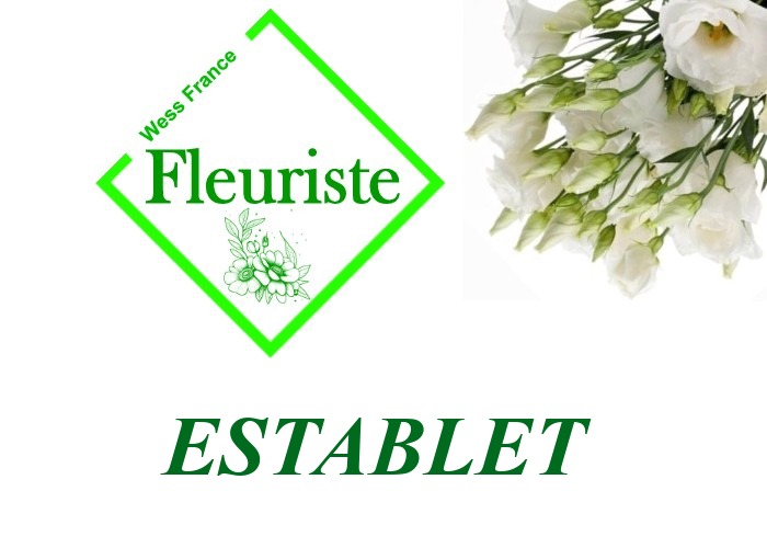 Fleuriste Establet Fleuriste Establet - livraison de fleurs Establet