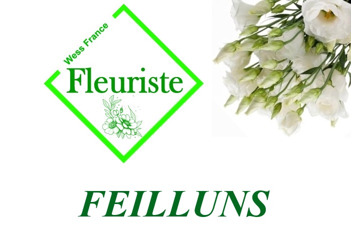 Fleuriste Feilluns Fleuriste Feilluns - livraison de fleurs Feilluns