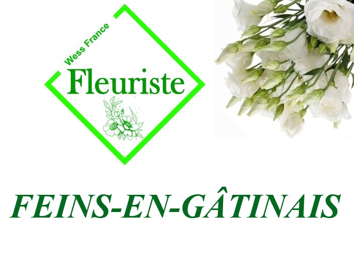 Fleuriste Feins-en-Gâtinais - livraison de fleurs Feins-en-Gâtinais