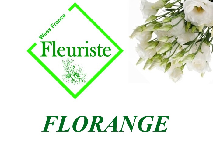 Fleuriste Florange - livraison de fleurs Florange
