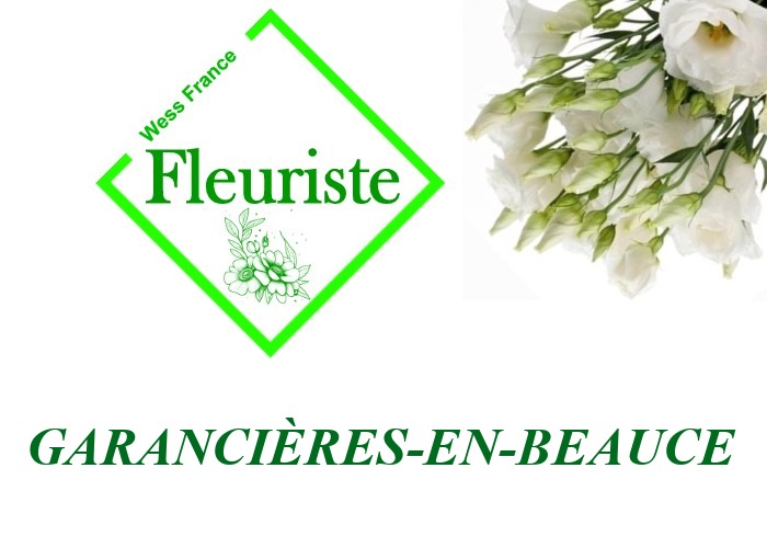 Fleuriste Garancières-en-Beauce Fleuriste Garancières-en-Beauce - livraison de fleurs Garancières-en-Beauce