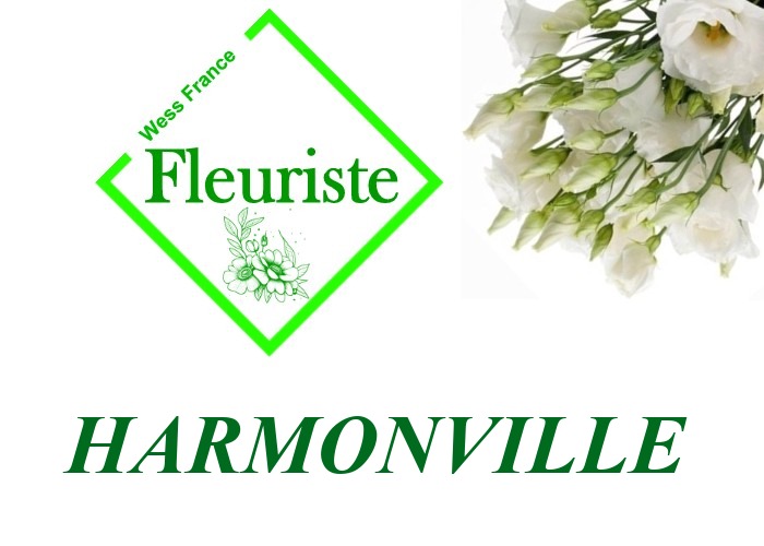 Fleuriste Harmonville - livraison de fleurs Harmonville