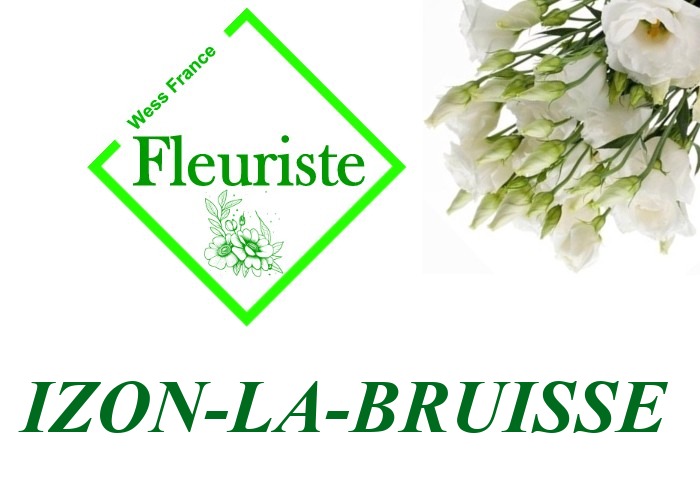 Fleuriste Izon-la-Bruisse Fleuriste Izon-la-Bruisse - livraison de fleurs Izon-la-Bruisse