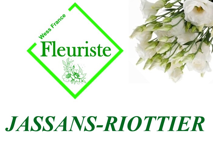 Fleuriste Jassans-Riottier Fleuriste Jassans-Riottier - livraison de fleurs Jassans-Riottier