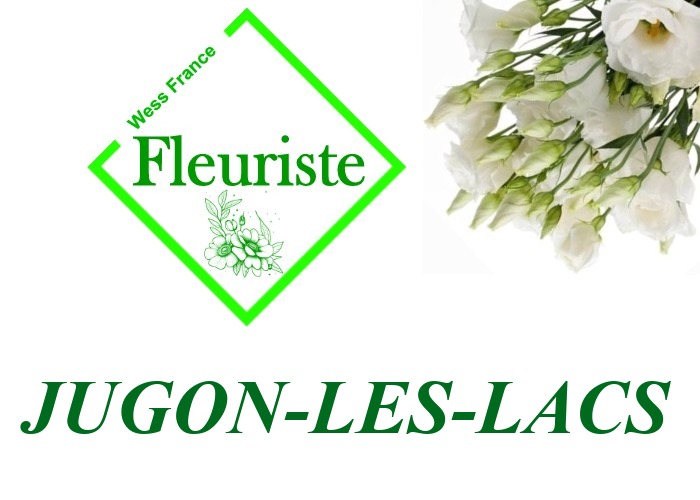 Fleuriste Jugon-les-Lacs - livraison de fleurs Jugon-les-Lacs