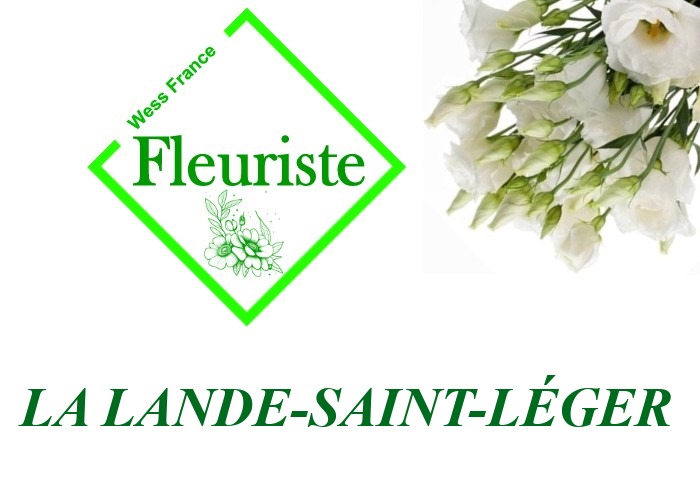 Fleuriste La Lande-Saint-Léger Fleuriste La Lande-Saint-Léger - livraison de fleurs La Lande-Saint-Léger