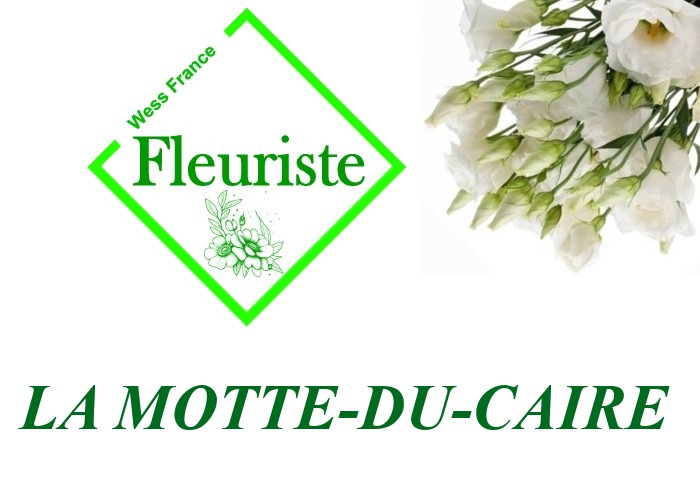 Fleuriste La Motte-du-Caire Fleuriste La Motte-du-Caire - livraison de fleurs La Motte-du-Caire