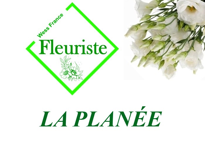 Fleuriste La Planée Fleuriste La Planée - livraison de fleurs La Planée