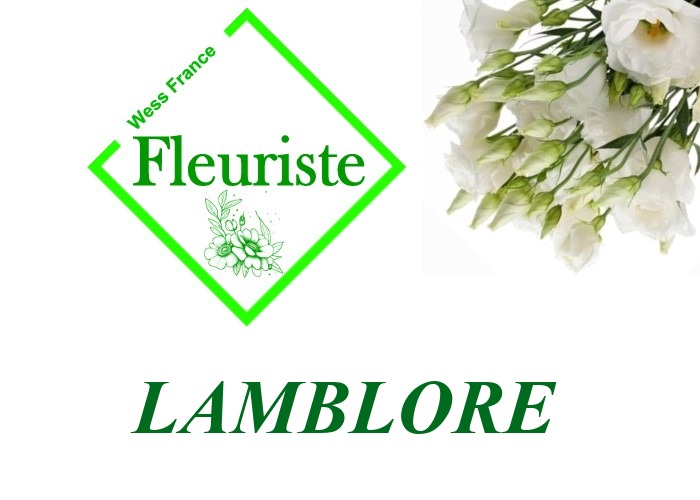 Fleuriste Lamblore Fleuriste Lamblore - livraison de fleurs Lamblore