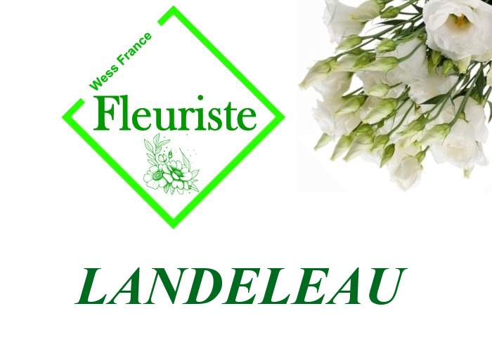 Fleuriste Landeleau - livraison de fleurs Landeleau