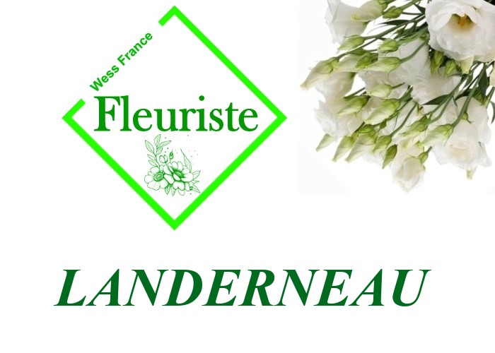 Fleuriste Landerneau Fleuriste Landerneau - livraison de fleurs Landerneau