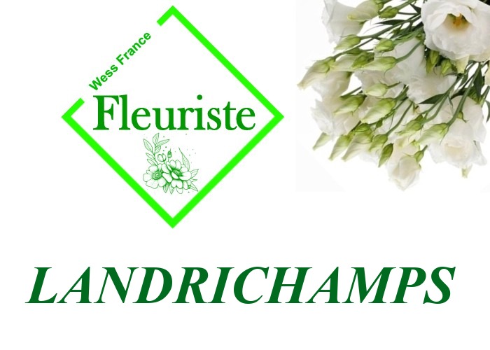 Fleuriste Landrichamps Fleuriste Landrichamps - livraison de fleurs Landrichamps