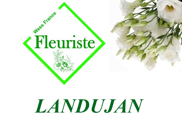 Fleuriste Landujan - livraison de fleurs Landujan