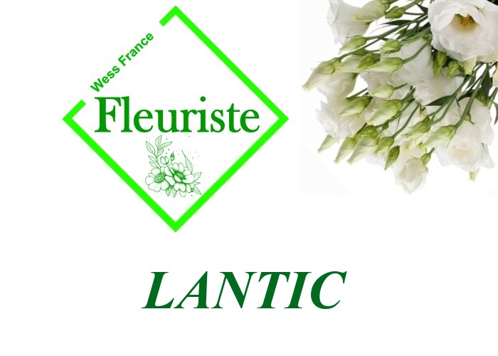 Fleuriste Lantic Fleuriste Lantic - livraison de fleurs Lantic