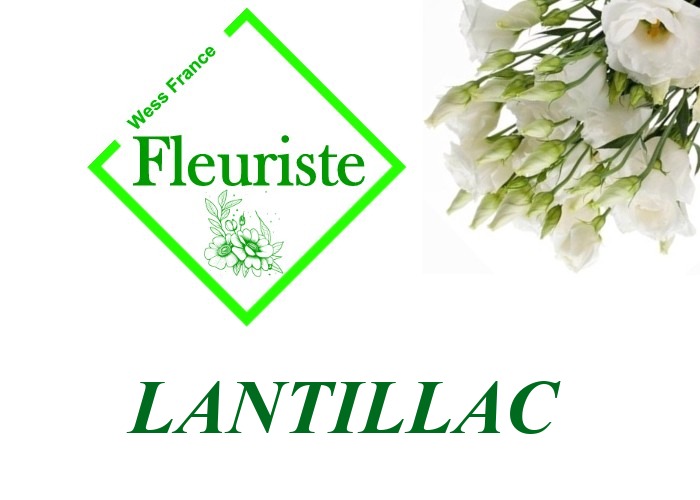 Fleuriste Lantillac Fleuriste Lantillac - livraison de fleurs Lantillac