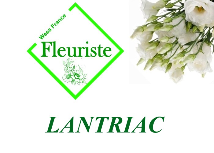 Fleuriste Lantriac Fleuriste Lantriac - livraison de fleurs Lantriac