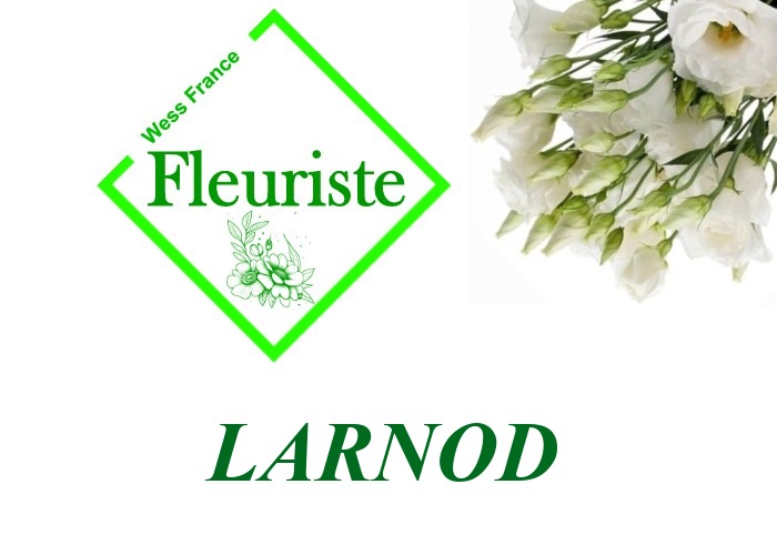 Fleuriste Larnod Fleuriste Larnod - livraison de fleurs Larnod