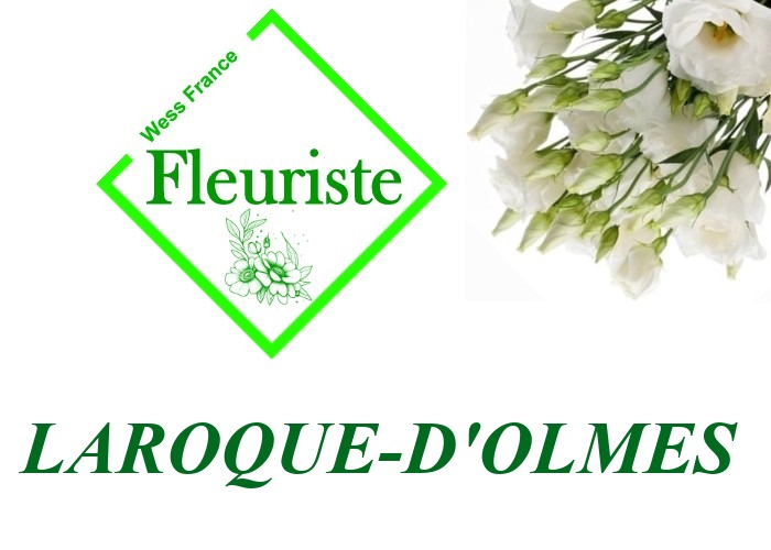 Fleuriste Laroque-d'Olmes Fleuriste Laroque-d'Olmes - livraison de fleurs Laroque-d'Olmes