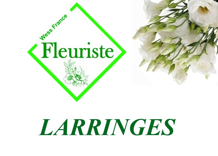 Fleuriste Larringes - livraison de fleurs Larringes