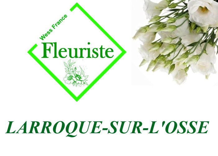 Fleuriste Larroque-sur-l'Osse Fleuriste Larroque-sur-l'Osse - livraison de fleurs Larroque-sur-l'Osse