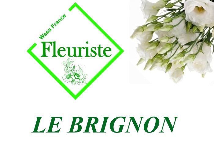 Fleuriste Le Brignon - livraison de fleurs Le Brignon