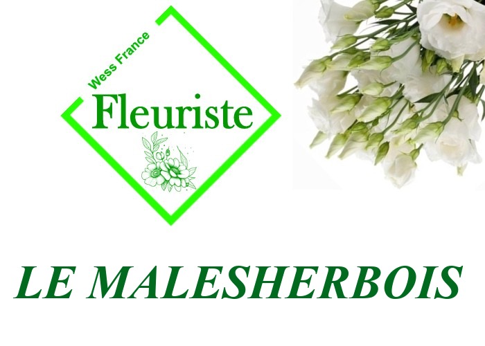 Fleuriste Le Malesherbois Fleuriste Le Malesherbois - livraison de fleurs Le Malesherbois