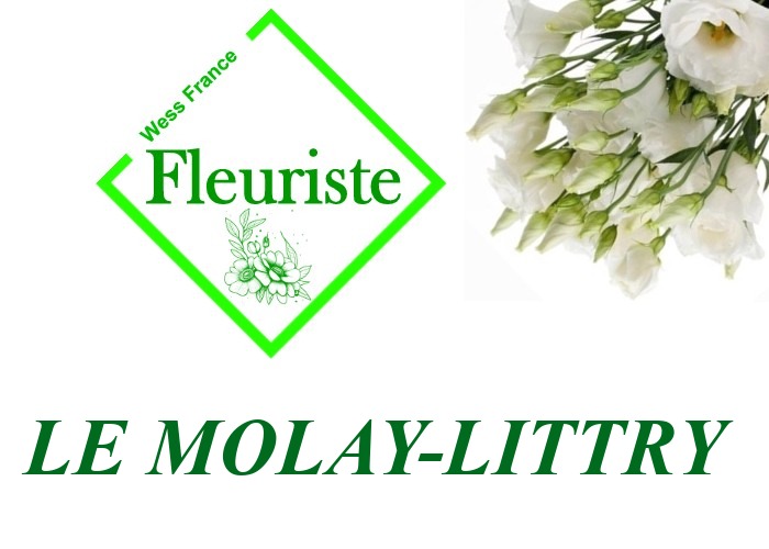 Fleuriste Le Molay-Littry Fleuriste Le Molay-Littry - livraison de fleurs Le Molay-Littry