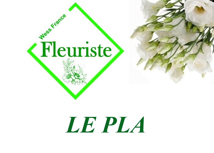 Fleuriste Le Pla Fleuriste Le Pla - livraison de fleurs Le Pla