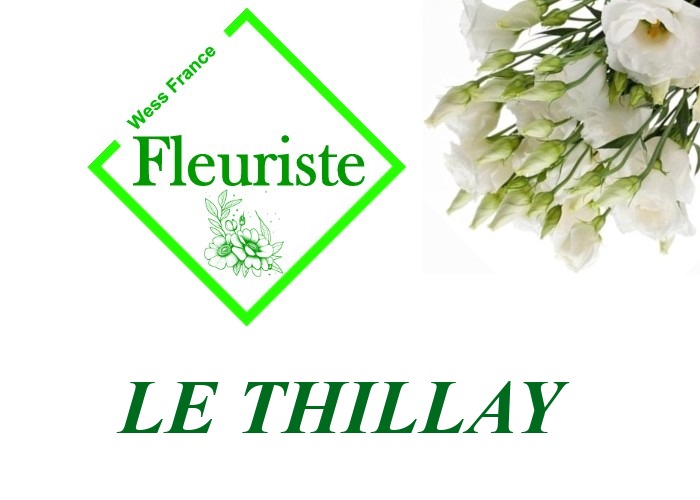 Fleuriste Le Thillay Fleuriste Le Thillay - livraison de fleurs Le Thillay