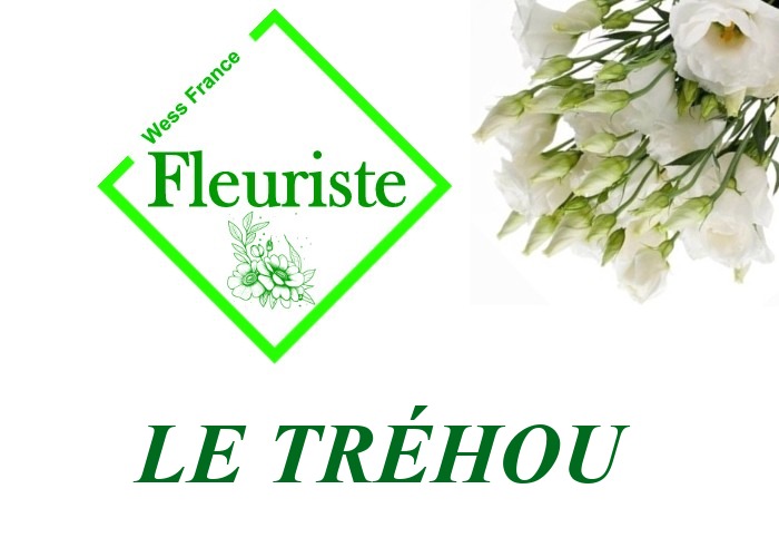 Fleuriste Le Tréhou Fleuriste Le Tréhou - livraison de fleurs Le Tréhou