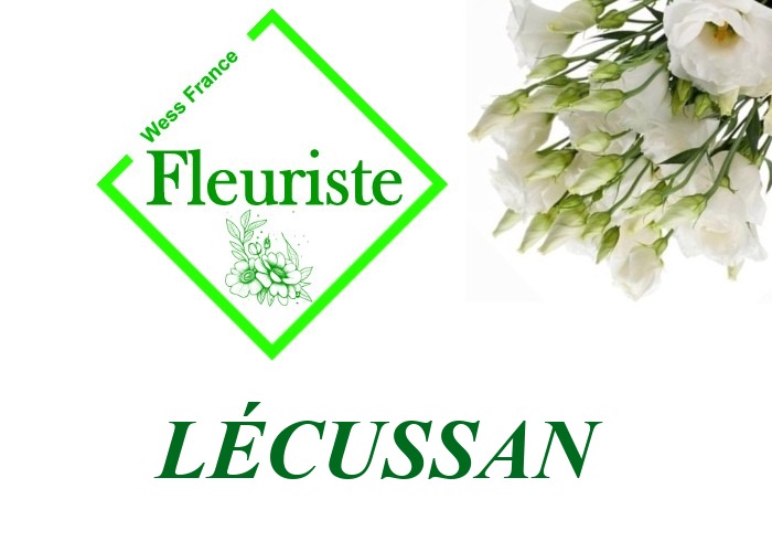 Fleuriste Lécussan Fleuriste Lécussan - livraison de fleurs Lécussan