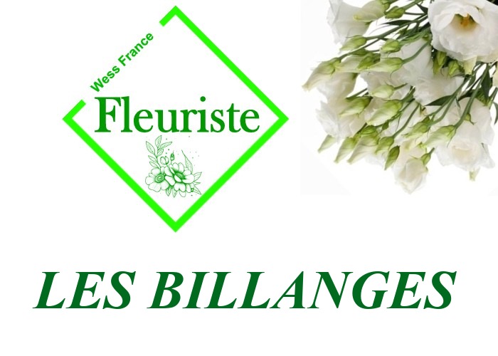 Fleuriste Les Billanges - livraison de fleurs Les Billanges