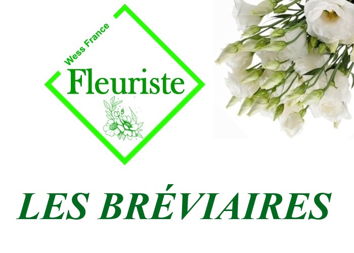 Fleuriste Les Bréviaires Fleuriste Les Bréviaires - livraison de fleurs Les Bréviaires