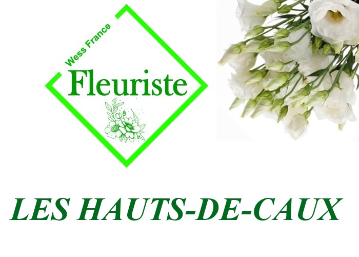 Fleuriste Les Hauts-de-Caux - livraison de fleurs Les Hauts-de-Caux