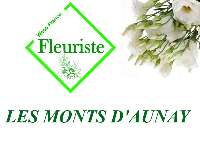 Fleuriste Les Monts d'Aunay Fleuriste Les Monts d'Aunay - livraison de fleurs Les Monts d'Aunay