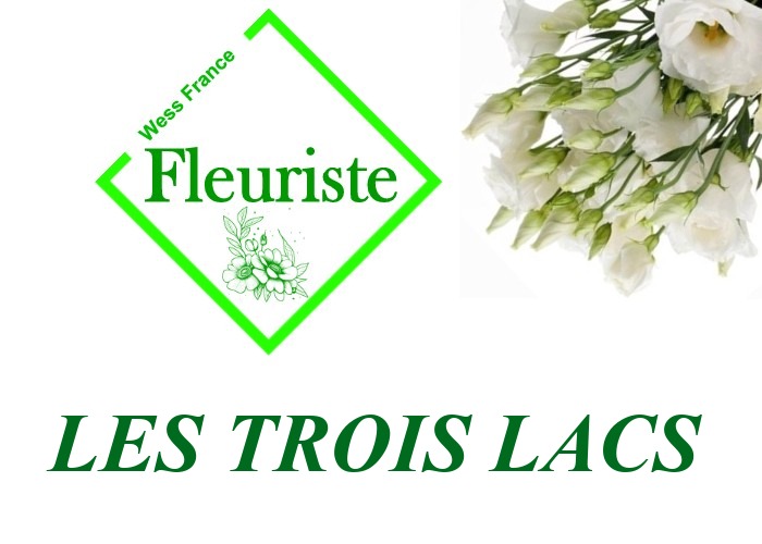 Fleuriste Les Trois Lacs Fleuriste Les Trois Lacs - livraison de fleurs Les Trois Lacs