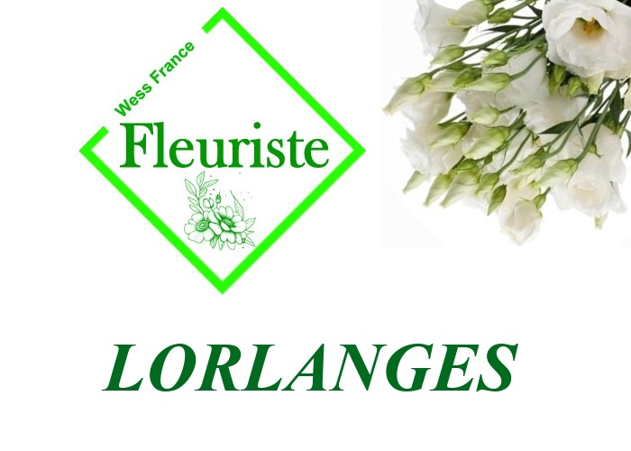 Fleuriste Lorlanges Fleuriste Lorlanges - livraison de fleurs Lorlanges