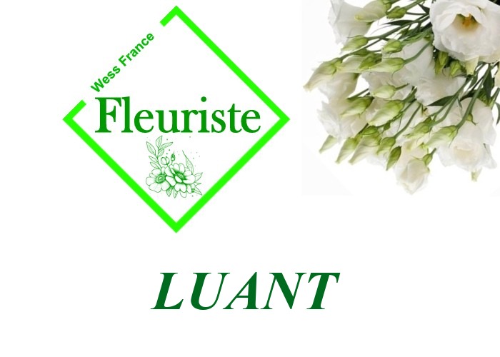 Fleuriste Luant Fleuriste Luant - livraison de fleurs Luant