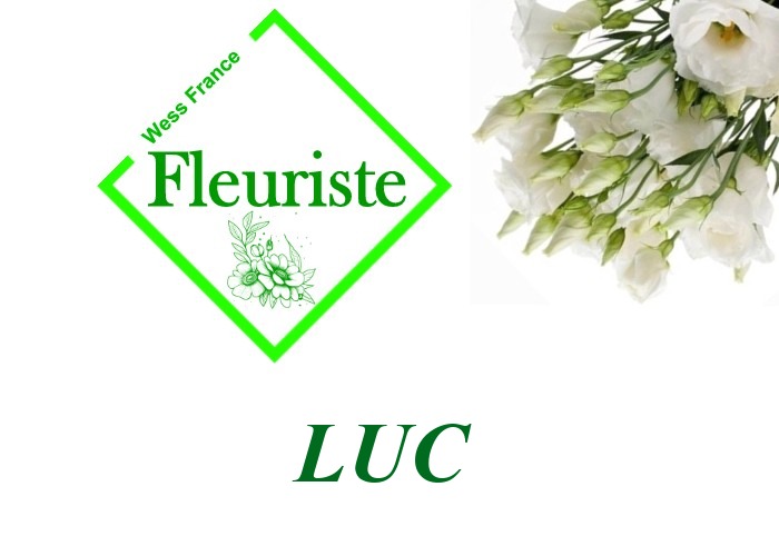 Fleuriste Luc - livraison de fleurs Luc