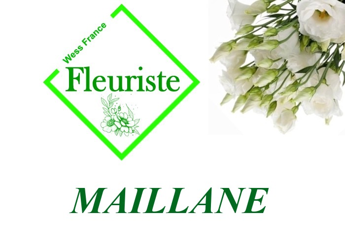 Fleuriste Maillane Fleuriste Maillane - livraison de fleurs Maillane