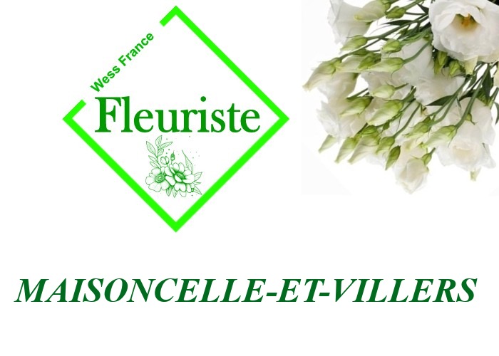 Fleuriste Maisoncelle-et-Villers Fleuriste Maisoncelle-et-Villers - livraison de fleurs Maisoncelle-et-Villers