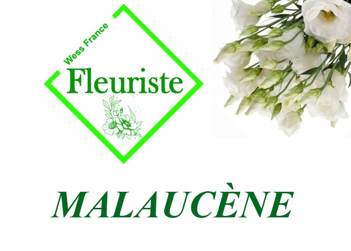 Fleuriste Malaucène - livraison de fleurs Malaucène