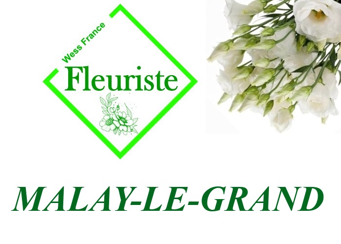 Fleuriste Malay-le-Grand Fleuriste Malay-le-Grand - livraison de fleurs Malay-le-Grand