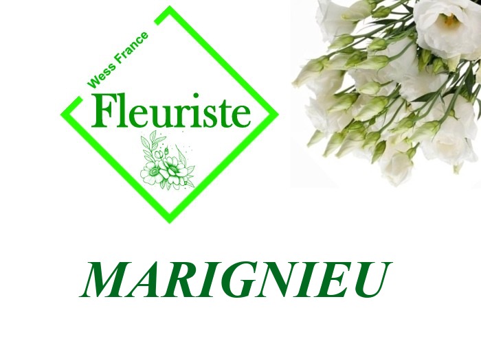 Fleuriste Marignieu Fleuriste Marignieu - livraison de fleurs Marignieu